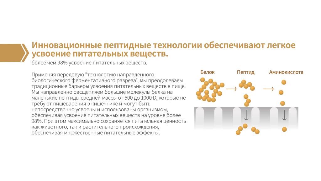 Пептидный комплекс для костей и суставов