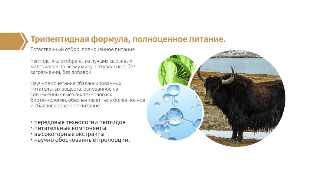 трипептидная формула