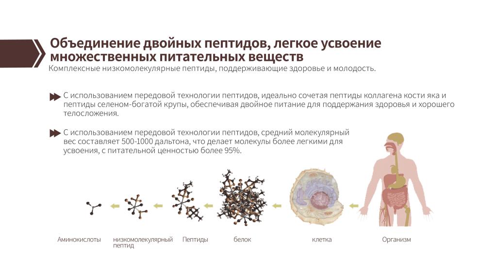 Двойная пептидная формула для ЖКТ