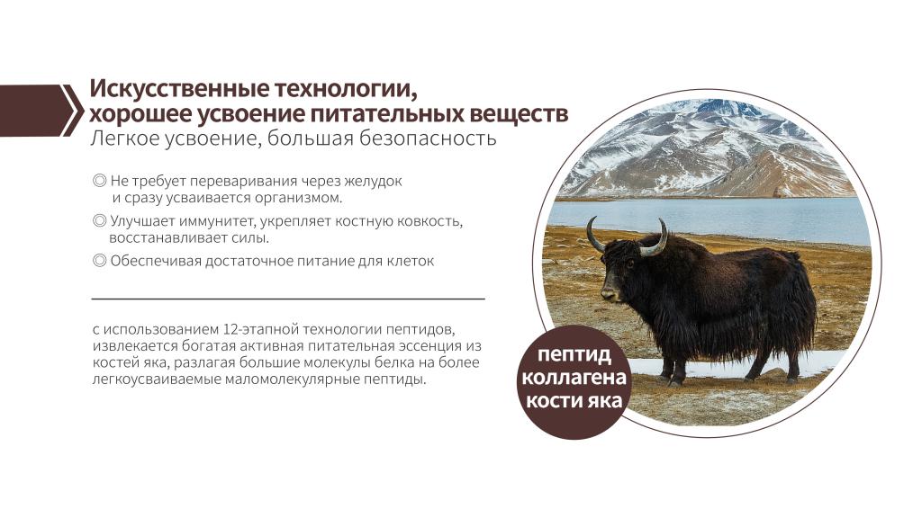 Двойная пептидная формула для ЖКТ