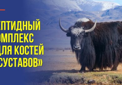 Как сохранить суставы здоровыми до глубокой старости