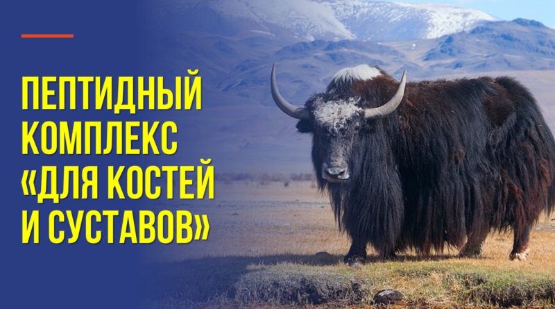 Как сохранить суставы здоровыми до глубокой старости