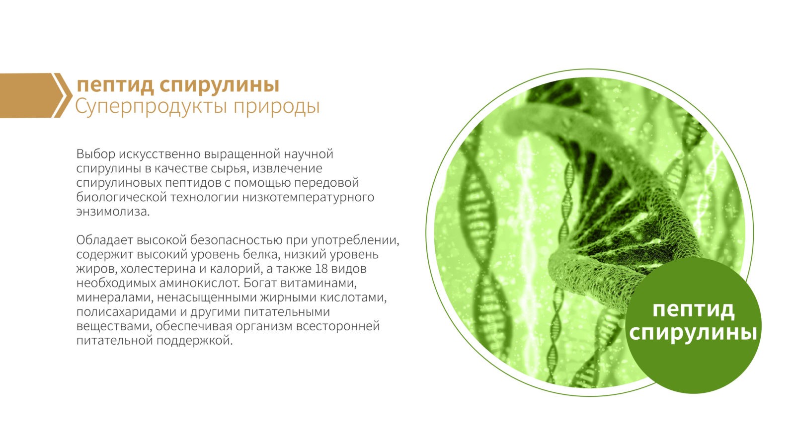 Пятипептидная формула БАЙЧЖЭНЬЦАО — Снежный лотос