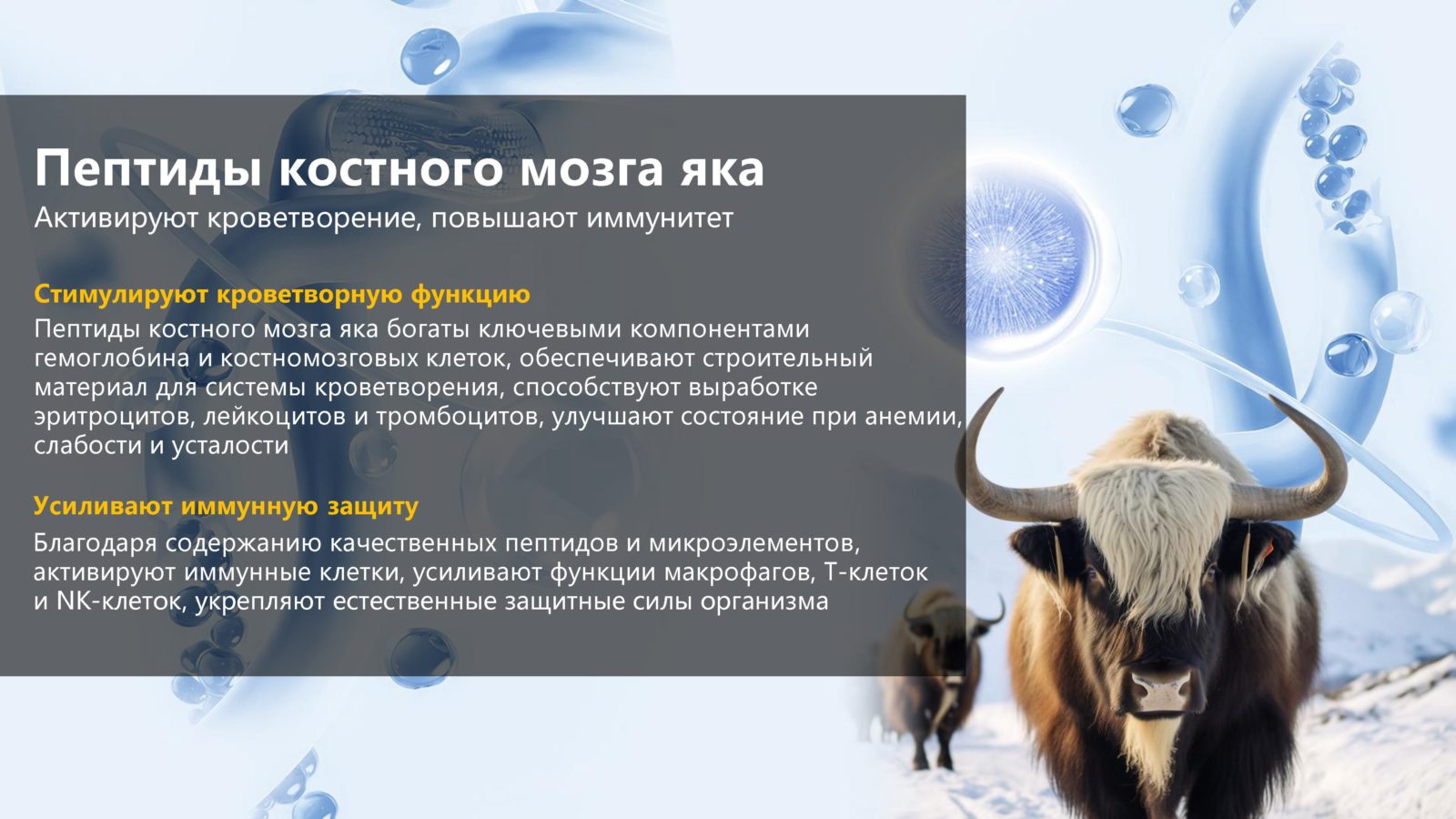 Как остановить старение организма - пептиды костного мозга яка