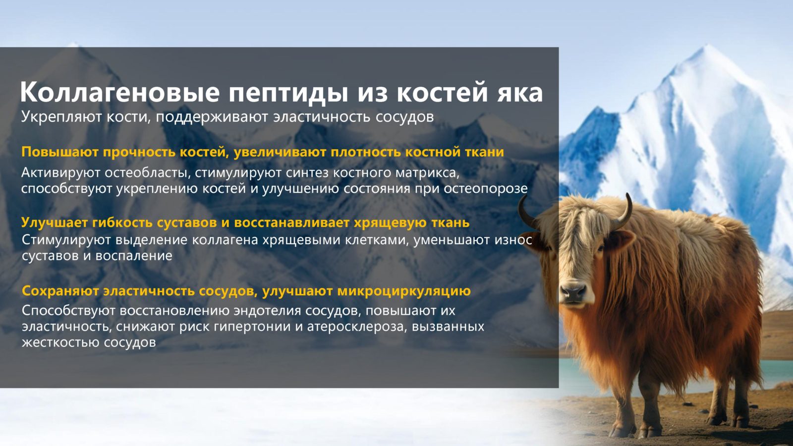 Как остановить старение организма - коллагеновые пептиды из костей яка