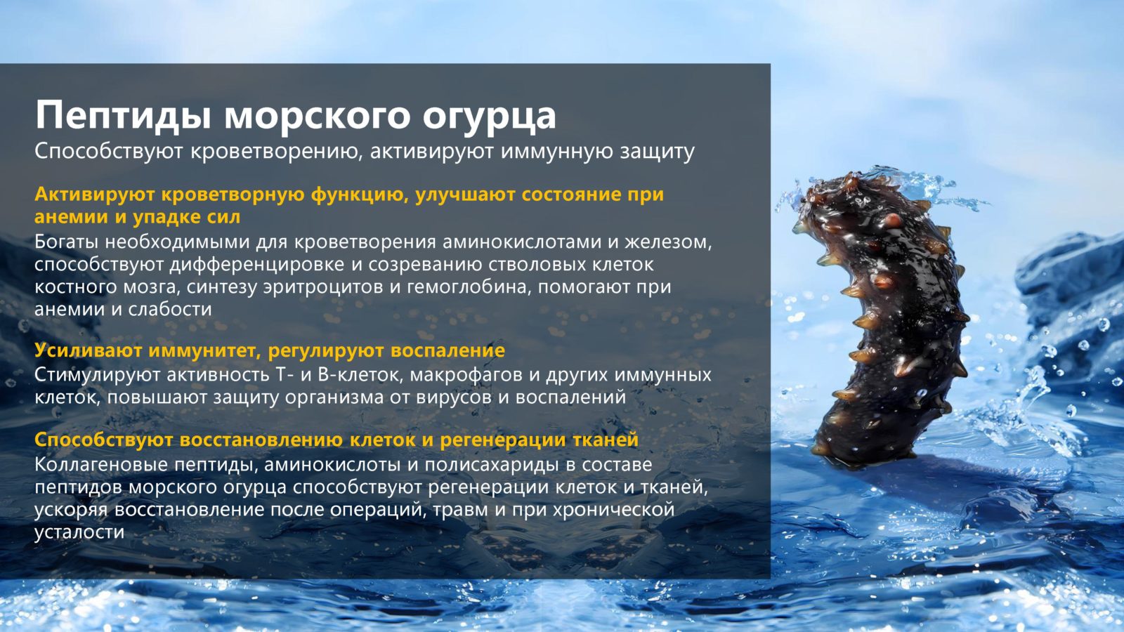 Пятипептидная формула БАЙЧЖЭНЬЦАО — Снежный лотос
