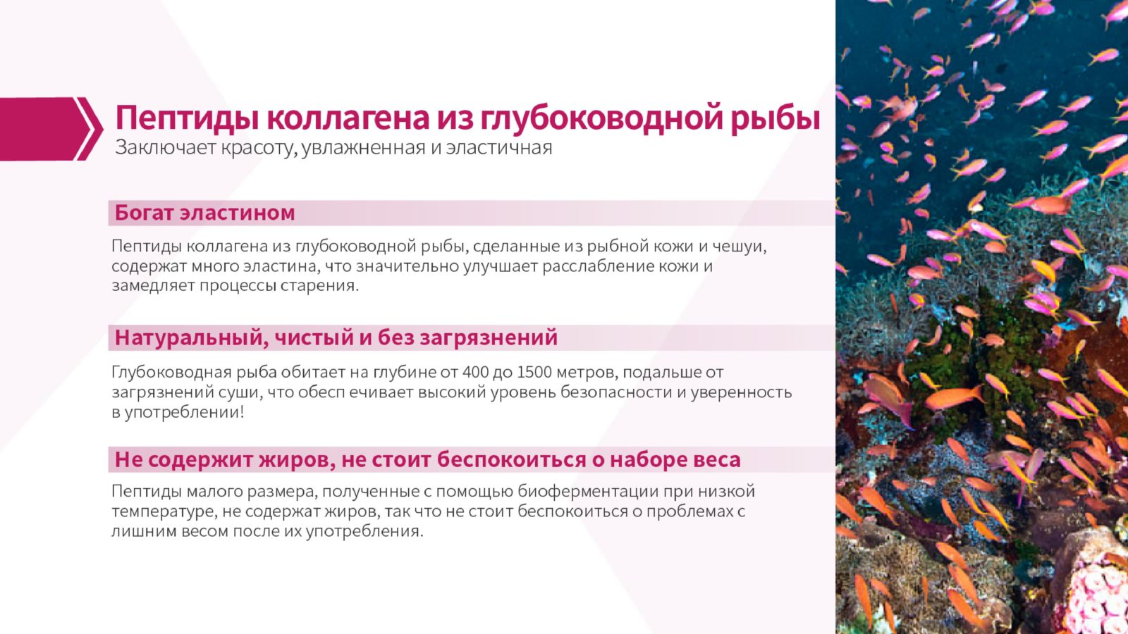 морской пептидный коллаген