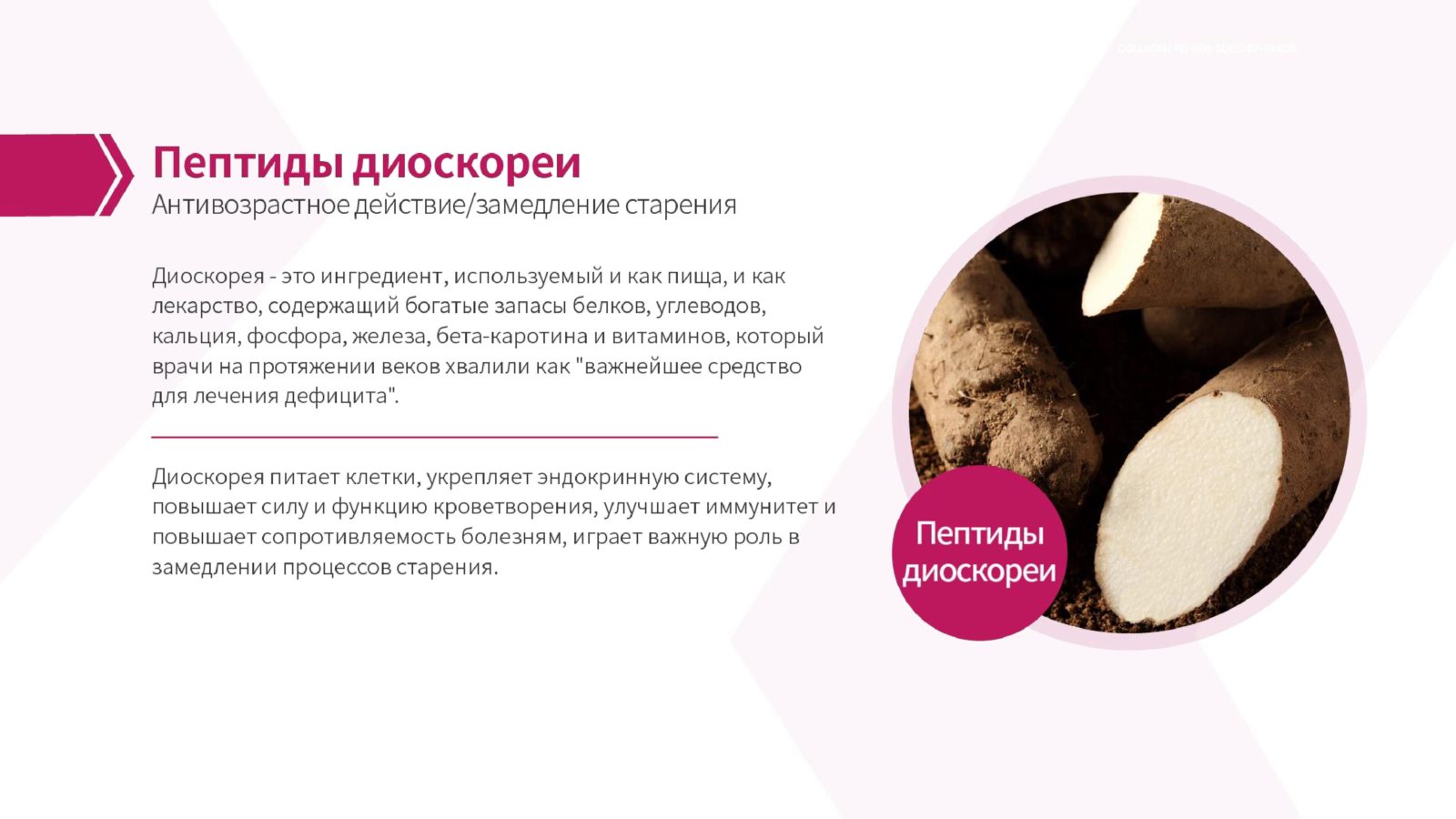 морской пептидный коллаген - пептиды диоскореи