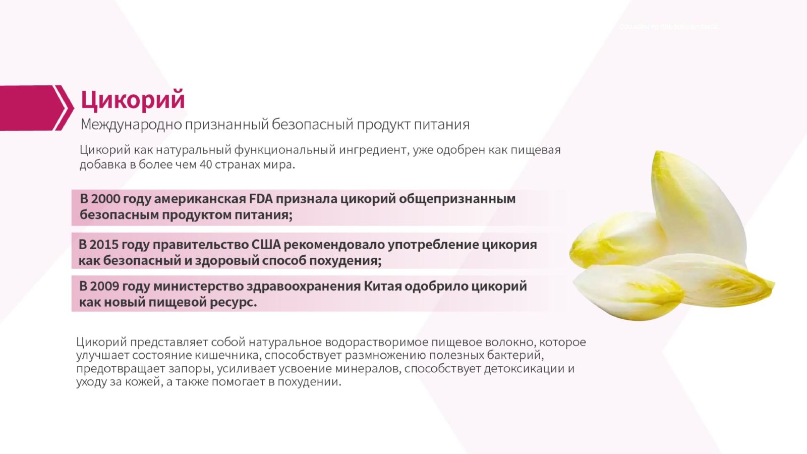 цикорий